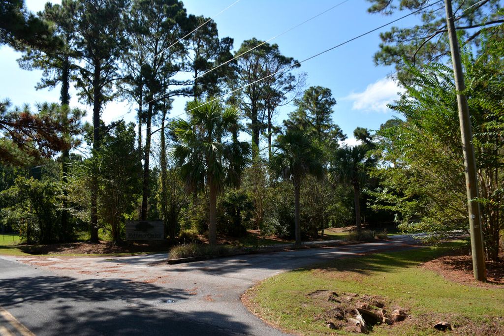 Photo of 61 Osprey Road, Edisto Island, SC 29438 (MLS # 25020808)