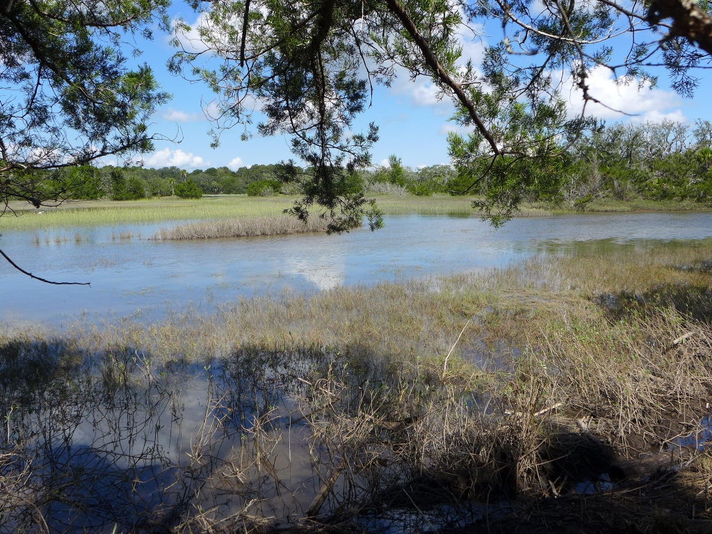 Photo of 35 Hammocks Way, Edisto Island, SC 29438 (MLS # 26027931)