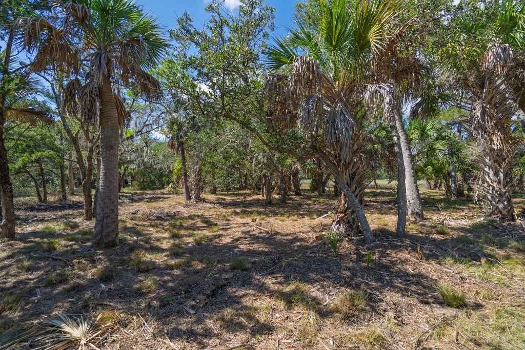 Photo of 35 Hammocks Way, Edisto Island, SC 29438 (MLS # 26027931)