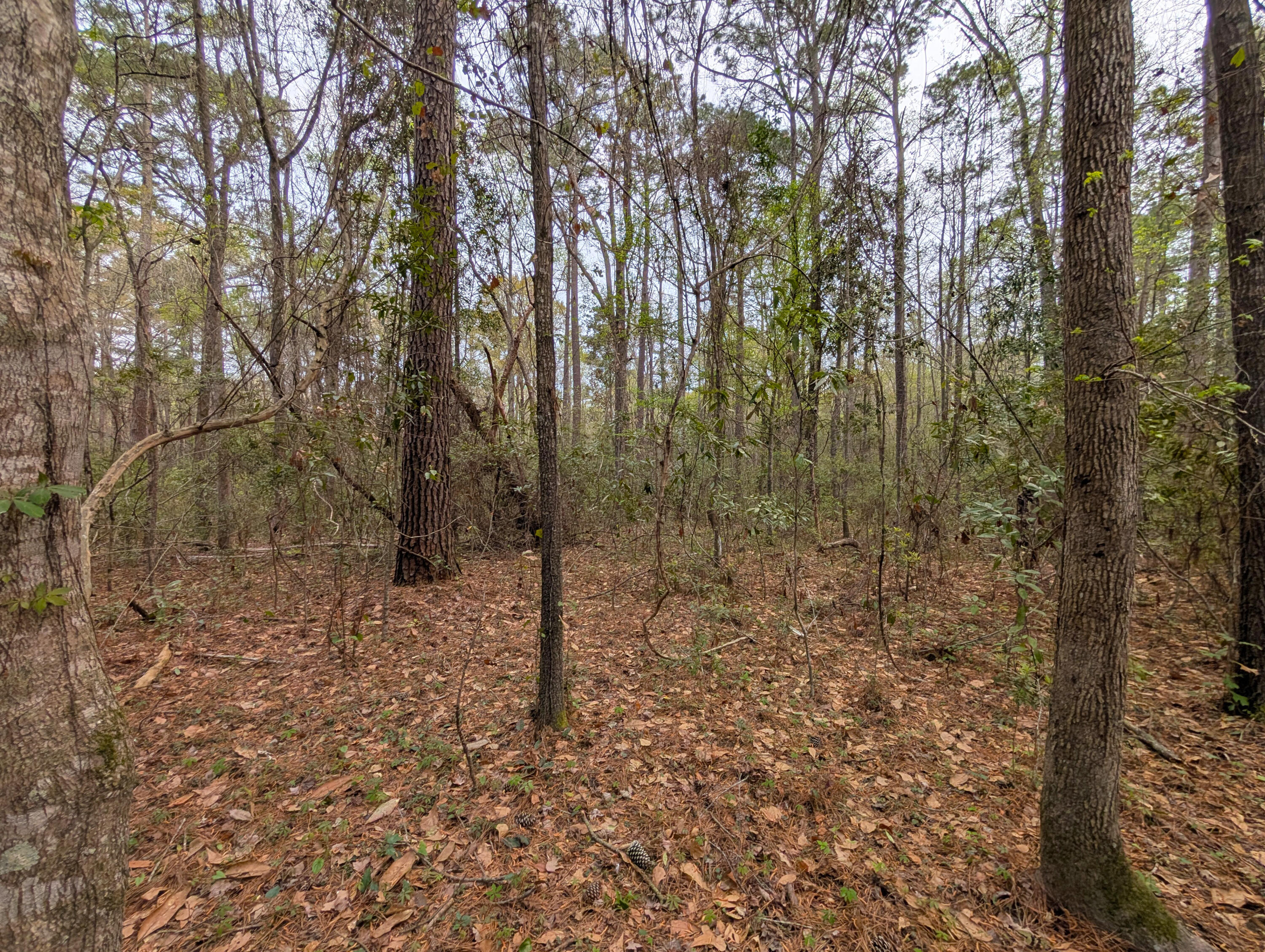 10218 Old Georgetown Road