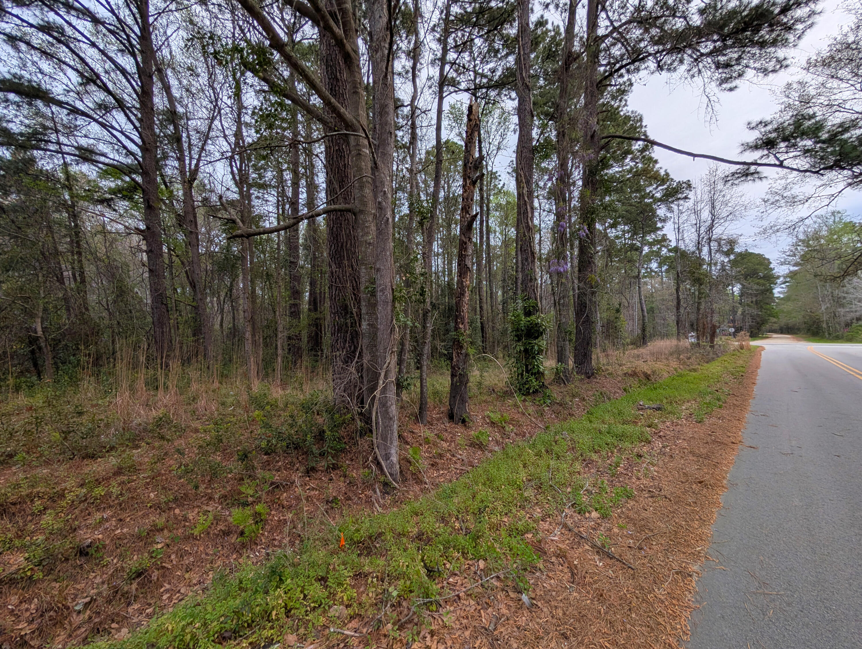 10218 Old Georgetown Road