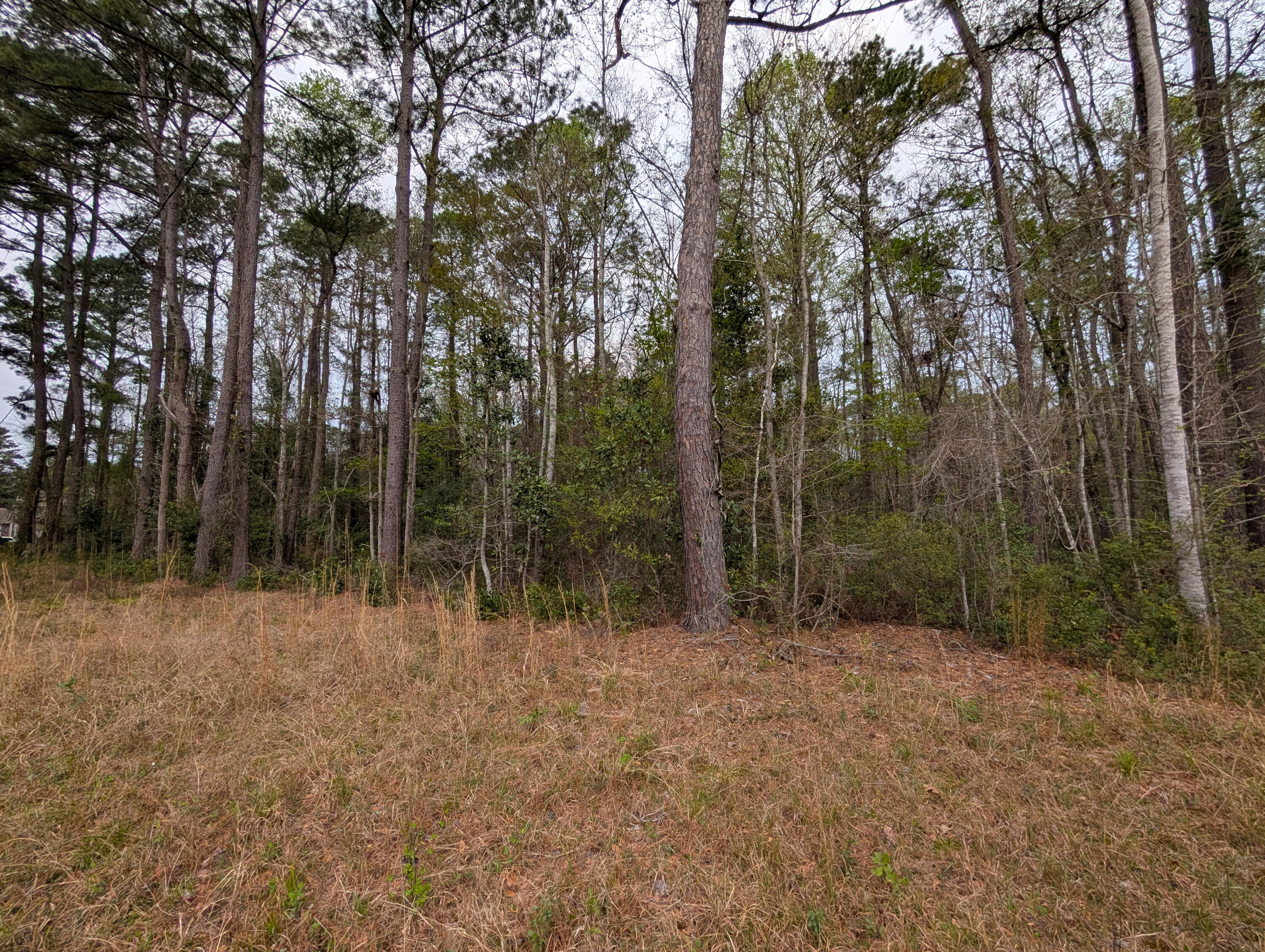 10218 Old Georgetown Road