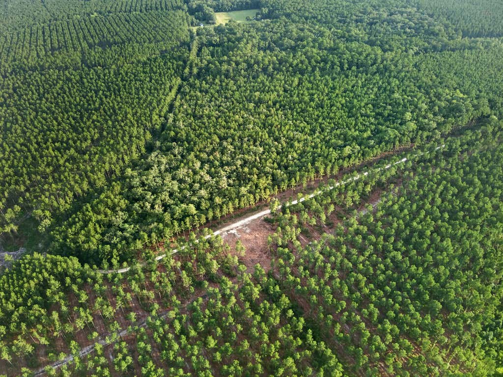 Photo of 0 Greenwood, Adams Run, SC 29426 (MLS # 26023900)