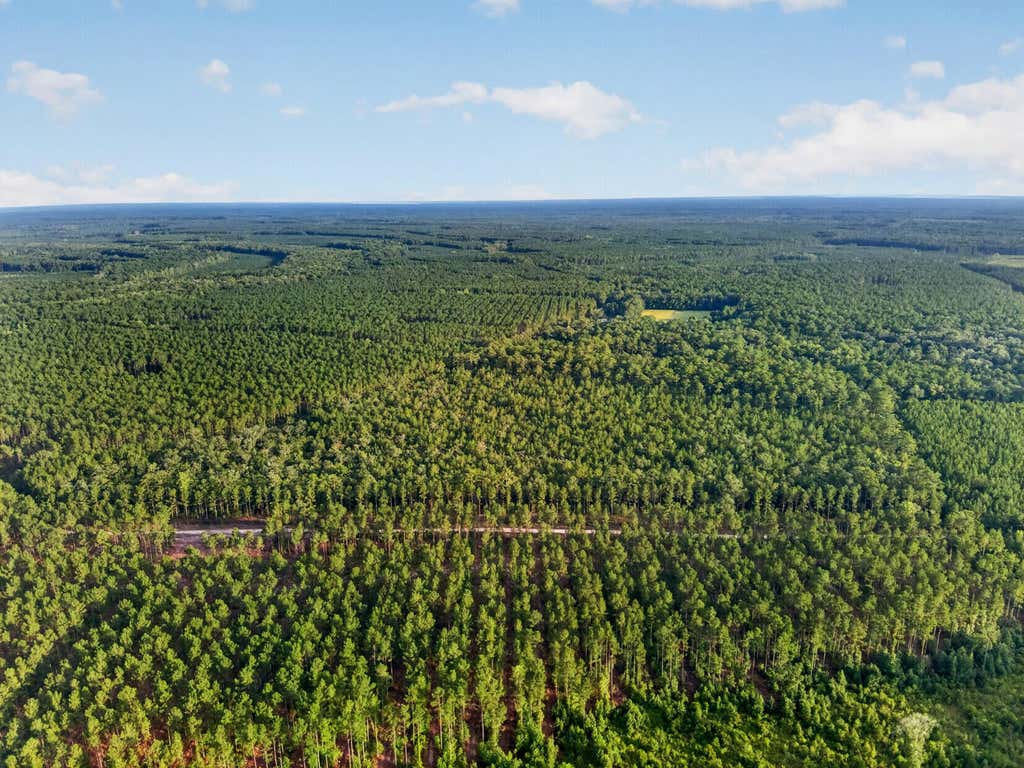 Photo of 0 Greenwood, Adams Run, SC 29426 (MLS # 26023900)