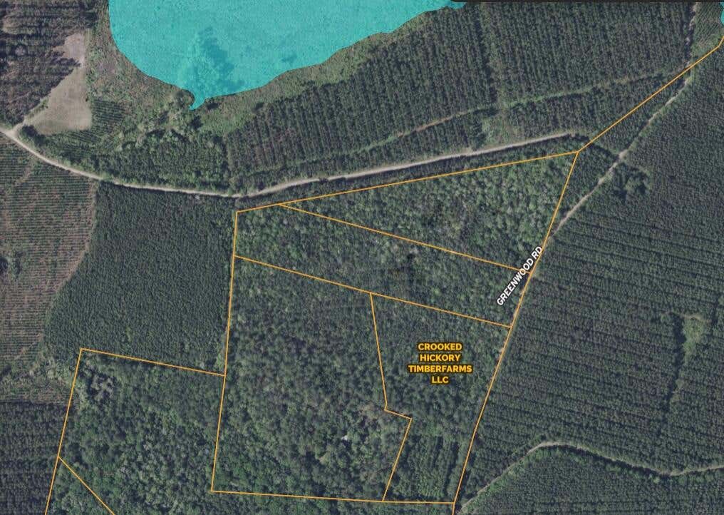 Photo of 0 Greenwood, Adams Run, SC 29426 (MLS # 26023900)