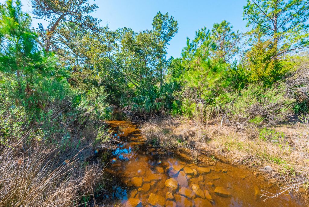 Photo of 0 King Rail Lane, Edisto Island, SC 29438 (MLS # 25013675)