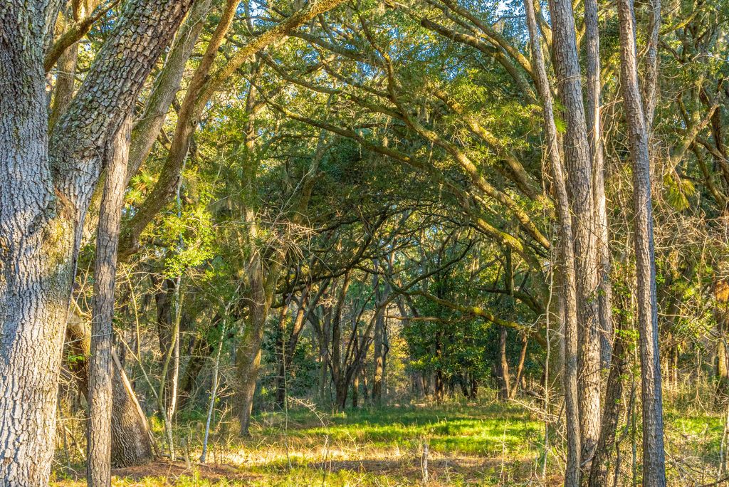 Photo of 0 King Rail Lane, Edisto Island, SC 29438 (MLS # 25013675)