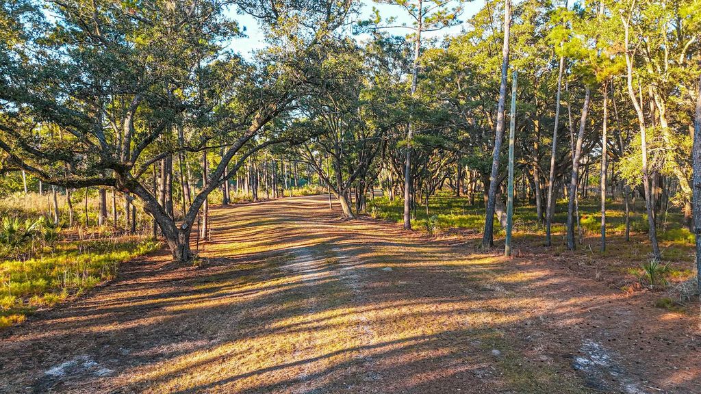 Photo of 0 King Rail Lane, Edisto Island, SC 29438 (MLS # 25013675)