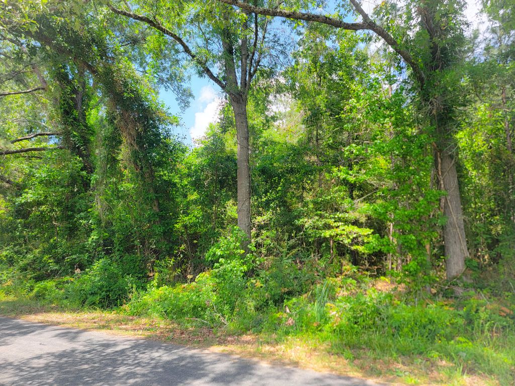 Photo of 0000 Murraysville Road, Moncks Corner, SC 29461 (MLS # 26012112)