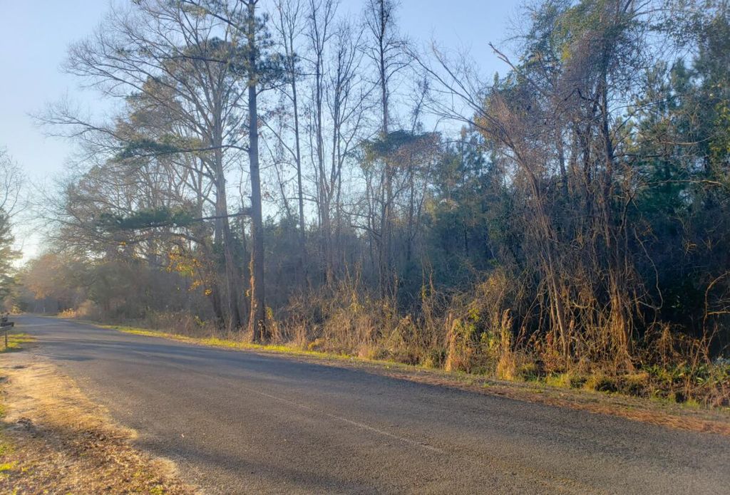 Photo of 0000 Murraysville Road, Moncks Corner, SC 29461 (MLS # 26012112)