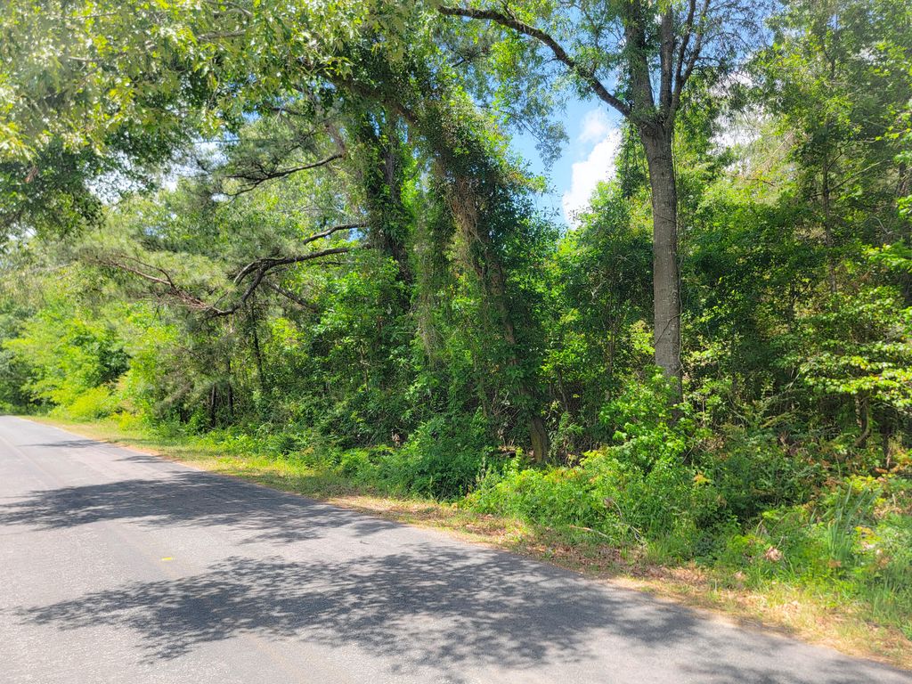 Photo of 0000 Murraysville Road, Moncks Corner, SC 29461 (MLS # 26012112)