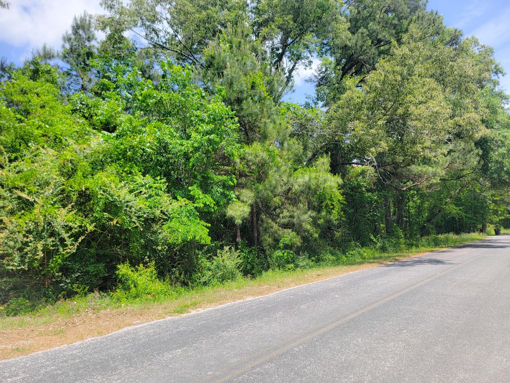 Photo of 0000 Murraysville Road, Moncks Corner, SC 29461 (MLS # 26012112)