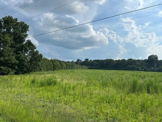 7 MILE RD, HARLEYVILLE, SC 29448 - Image 560a9ebab1e42e8a979bc271d6a2442b/699071176
