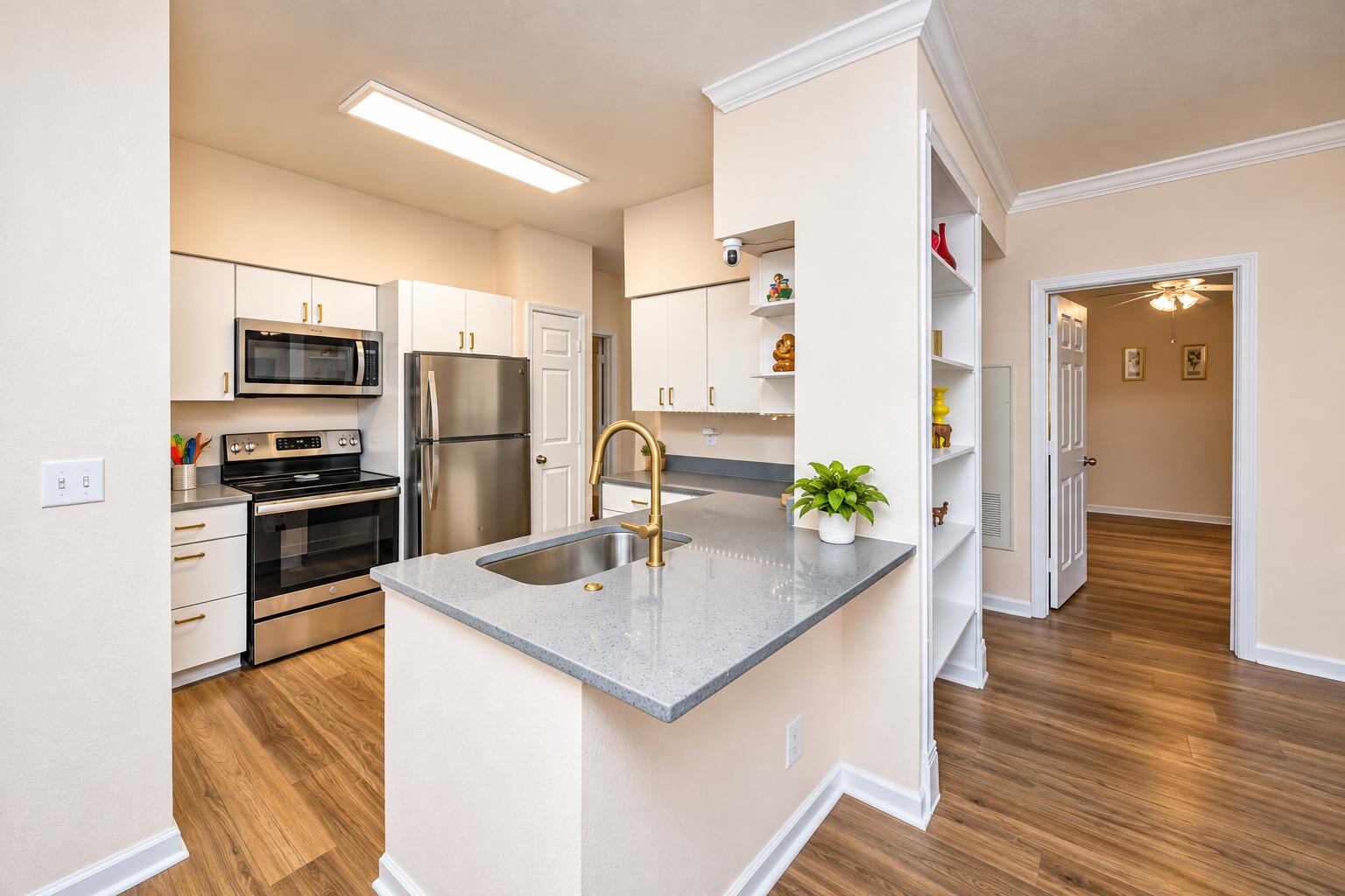 700 Daniel Ellis Drive 10101