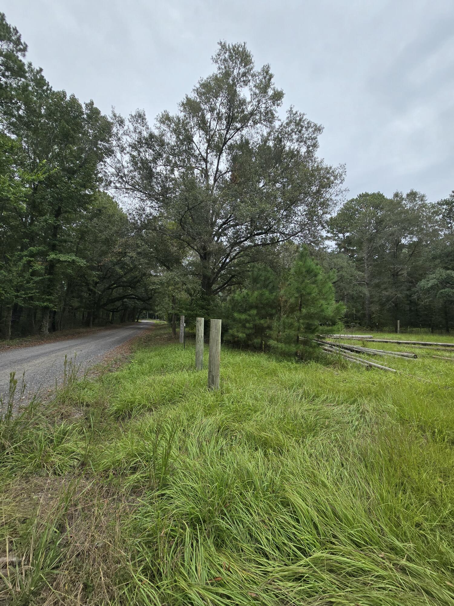 497 Rectory Hill Road