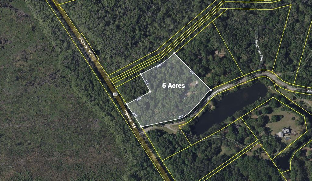 Photo of 6370 Shilelagh Oaks Parkway, Ravenel, SC 29470 (MLS # 25023292)