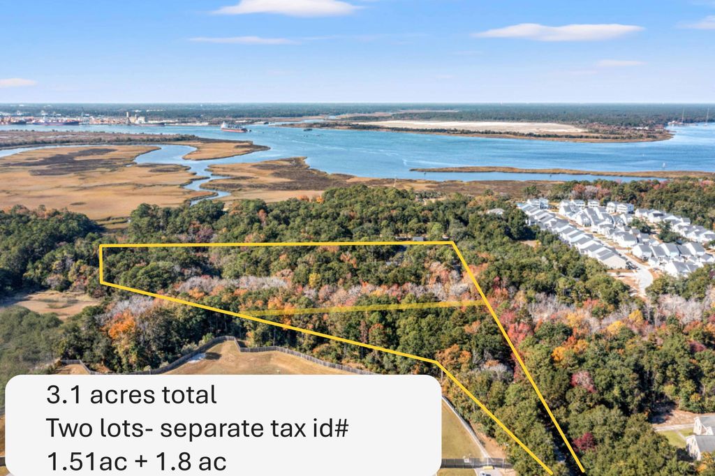 Photo of 0 Yellow House Place, Charleston, SC 29492 (MLS # 25031109)