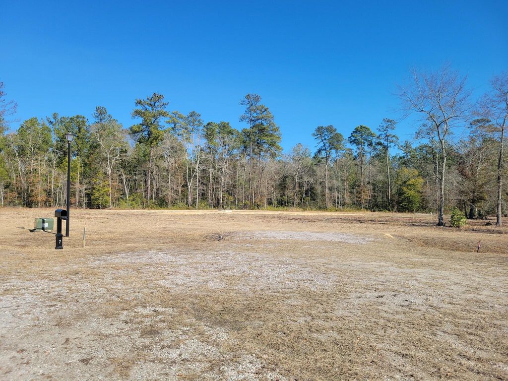 Photo of 170 Rice Gate Court, Walterboro, SC 29488 (MLS # 26002408)