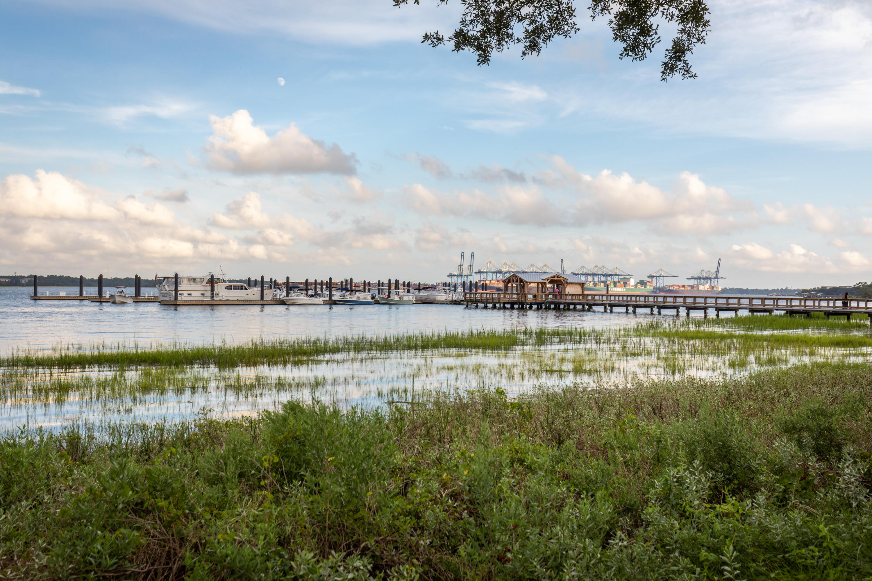 325 Longshore Street #1124