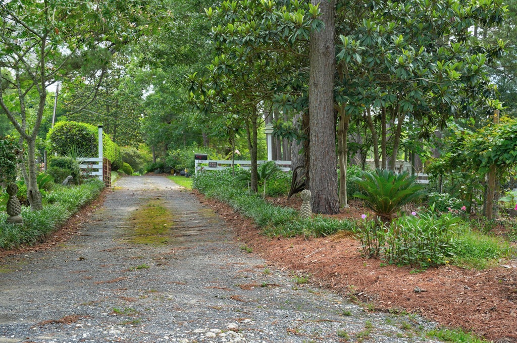 Photo of 118 Sellars Circle, Summerville, SC 29483 (MLS # 26018565)