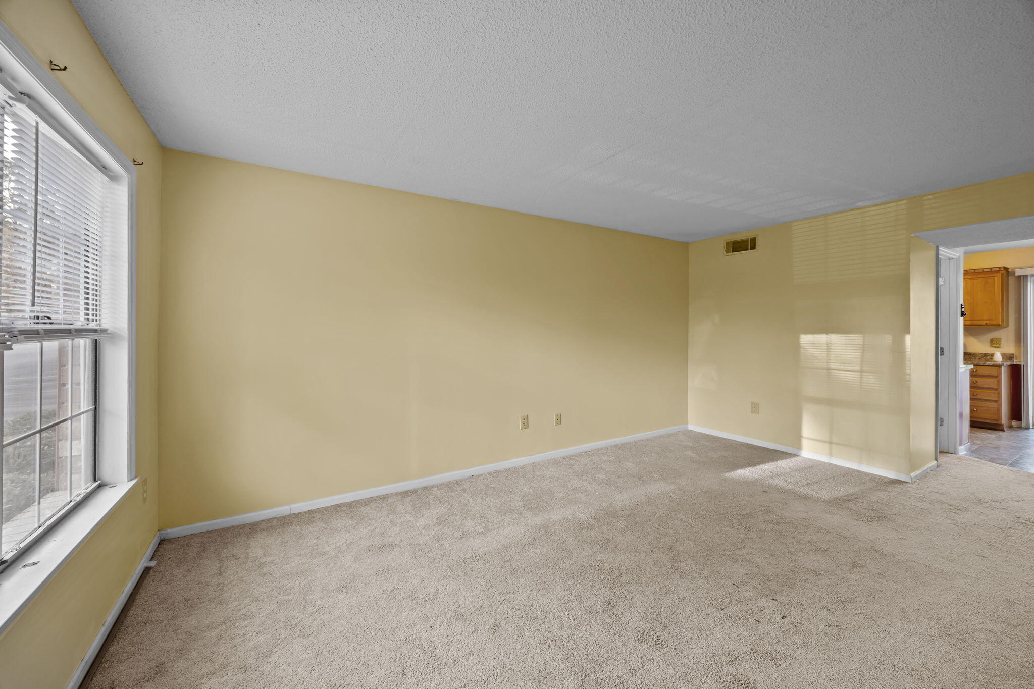 113 Elmwood Avenue C