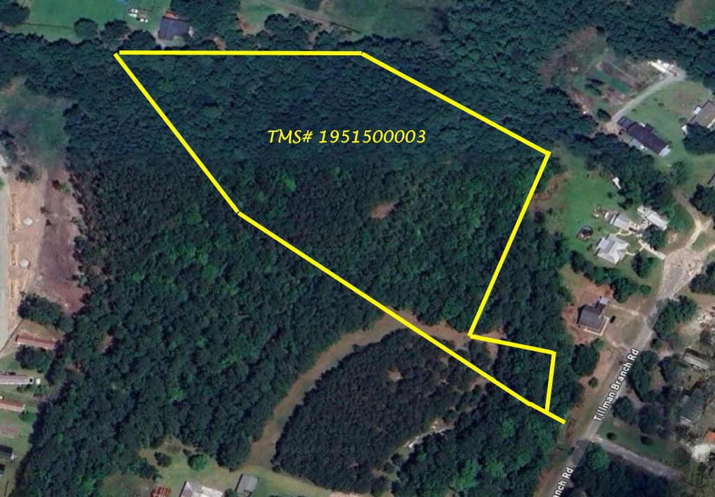 Photo of 0 Tillman Branch Road, Summerville, SC 29486 (MLS # 25016941)