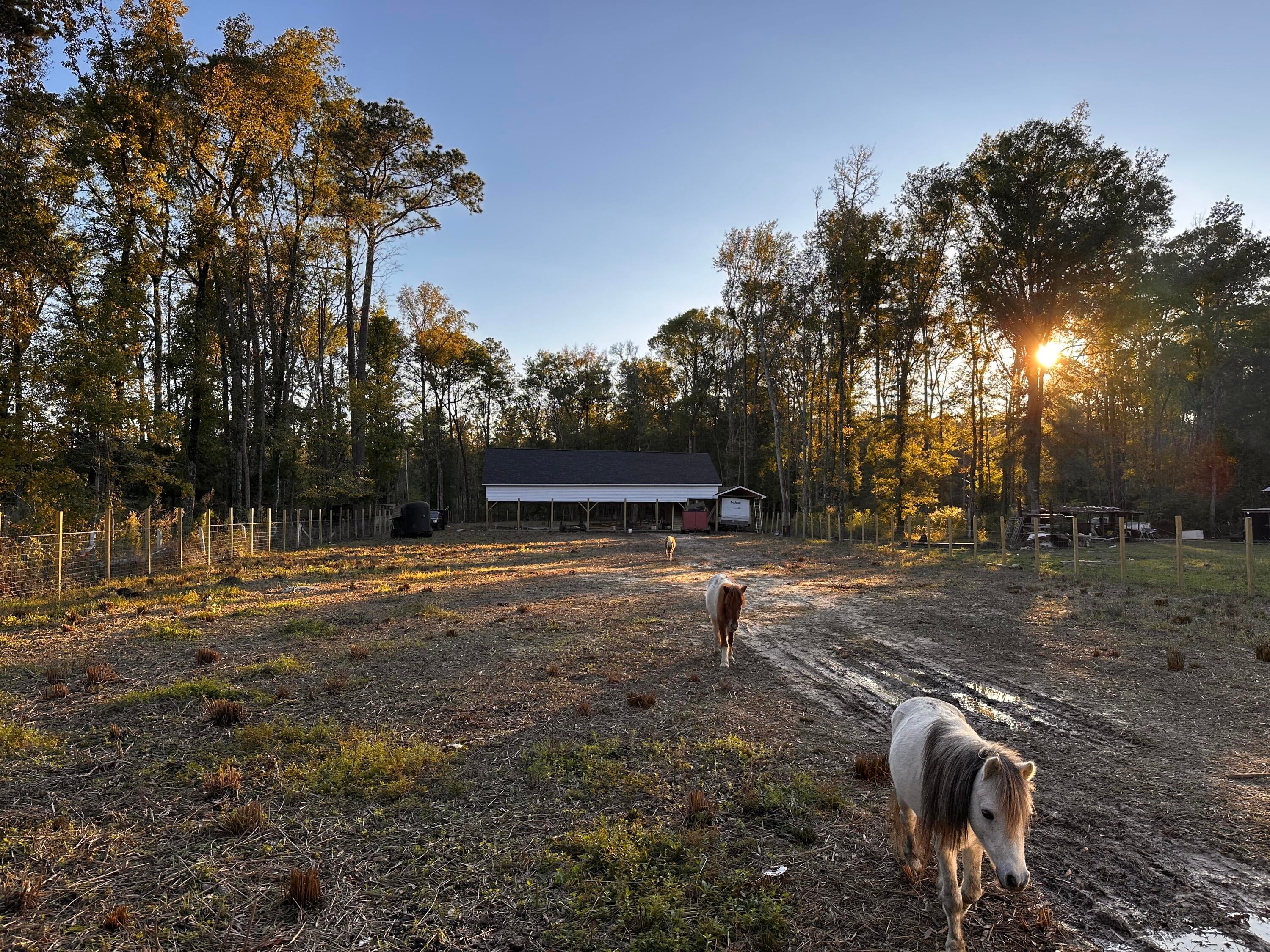 00 Sullivans Ferry Road, Cottageville, SC, 29435