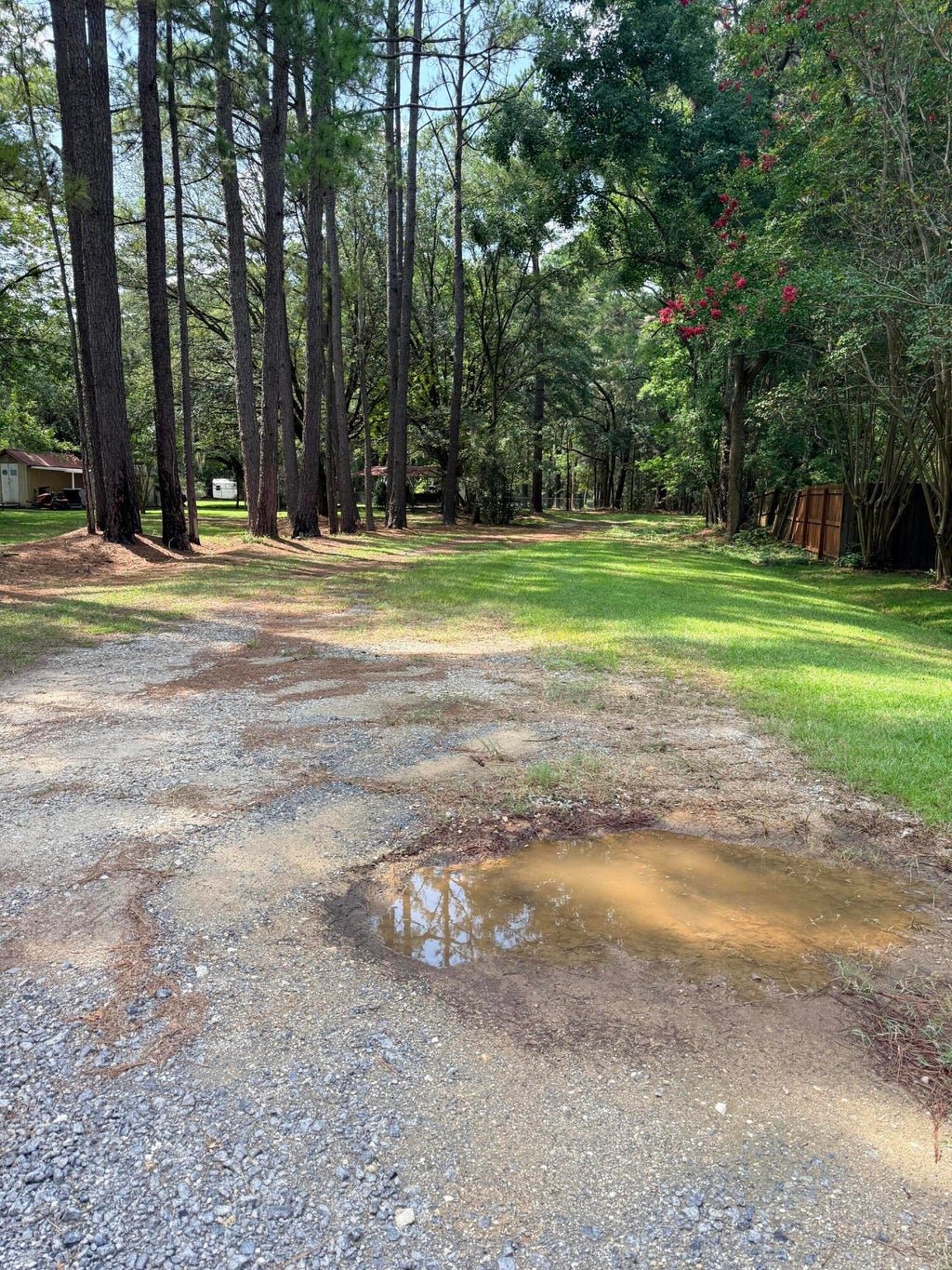 Photo of 109 Cattail Court, Moncks Corner, SC 29461 (MLS # 26025219)
