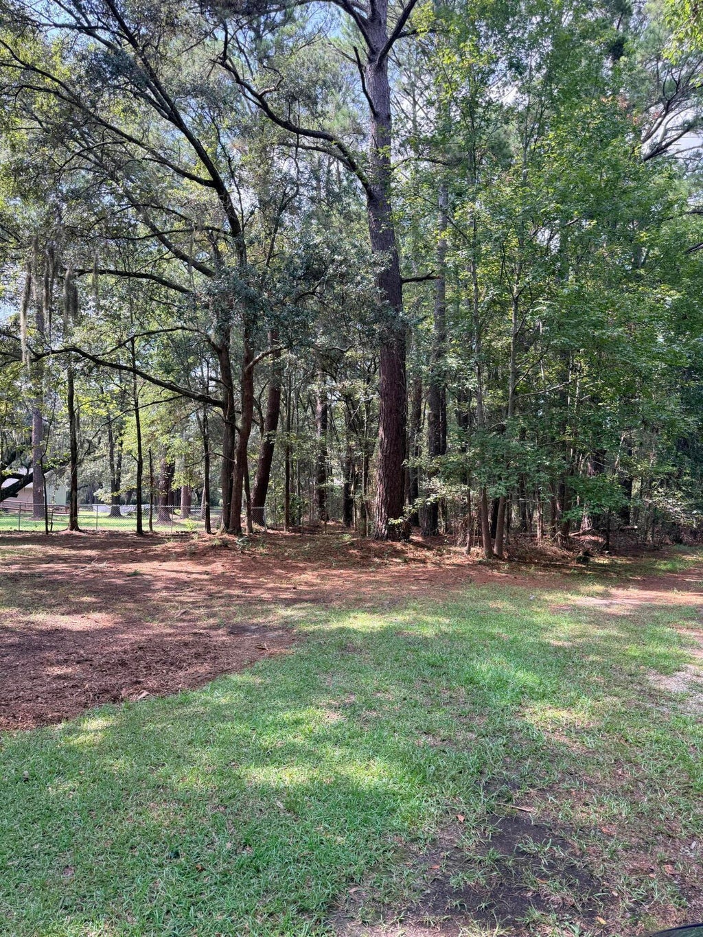 Photo of 109 Cattail Court, Moncks Corner, SC 29461 (MLS # 26025219)