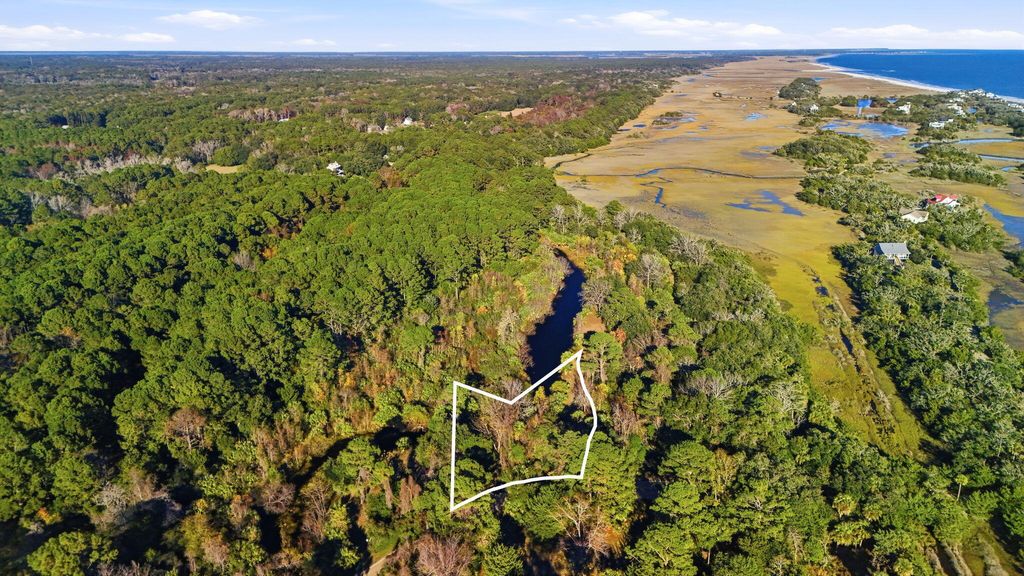 Photo of 711 Jan Savage Way, Edisto Island, SC 29438 (MLS # 25032375)