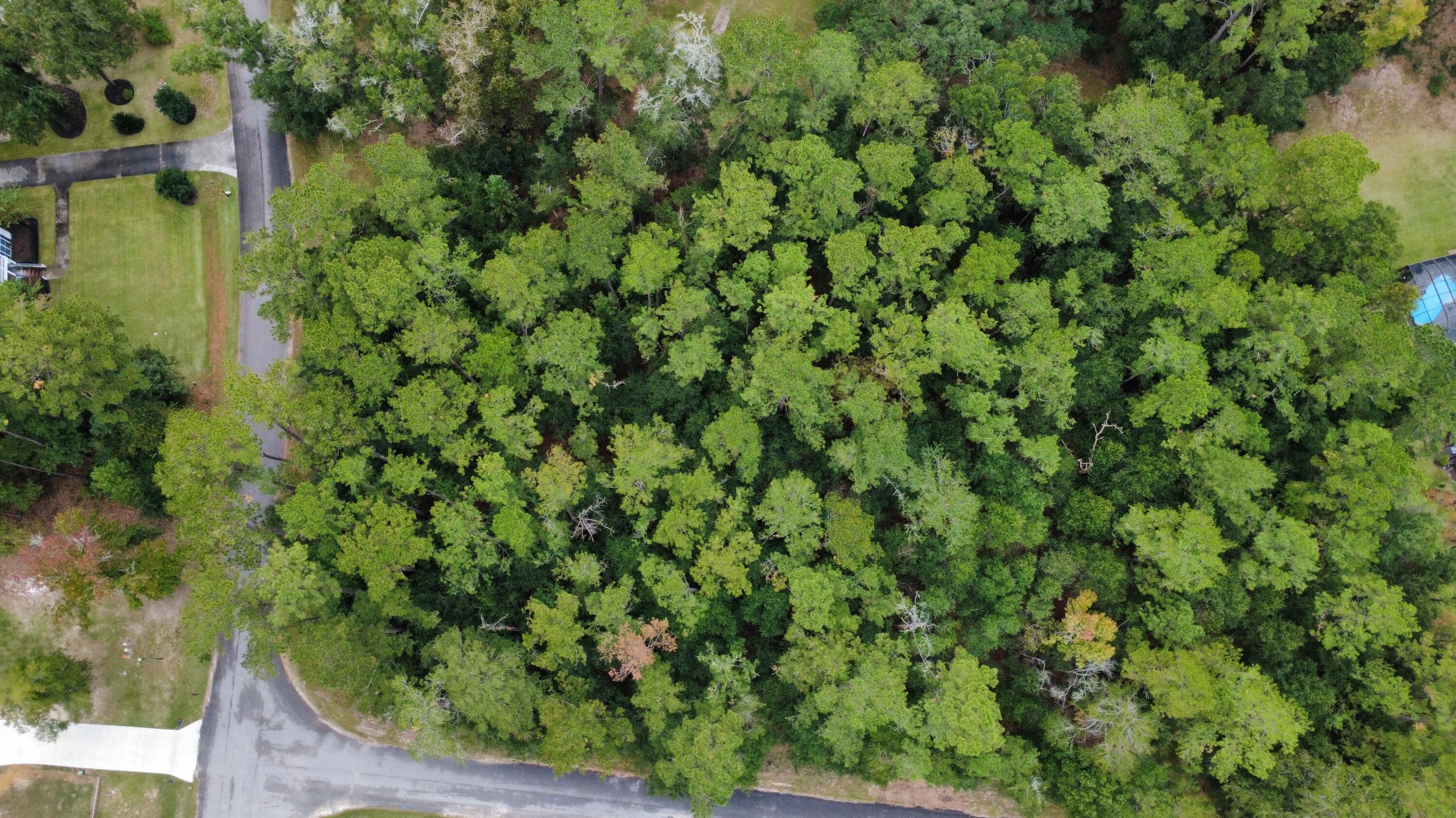 Lot 10 Plantation Lane