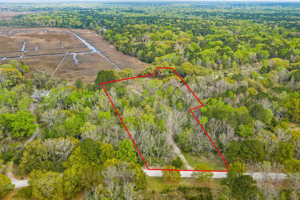 Photo of 3956 Bulow Plantation Road, Johns Island, SC 29455 (MLS # 26008616)