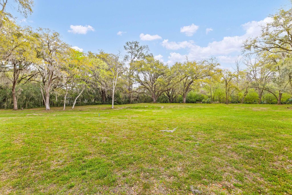 Photo of 3956 Bulow Plantation Road, Johns Island, SC 29455 (MLS # 26008616)