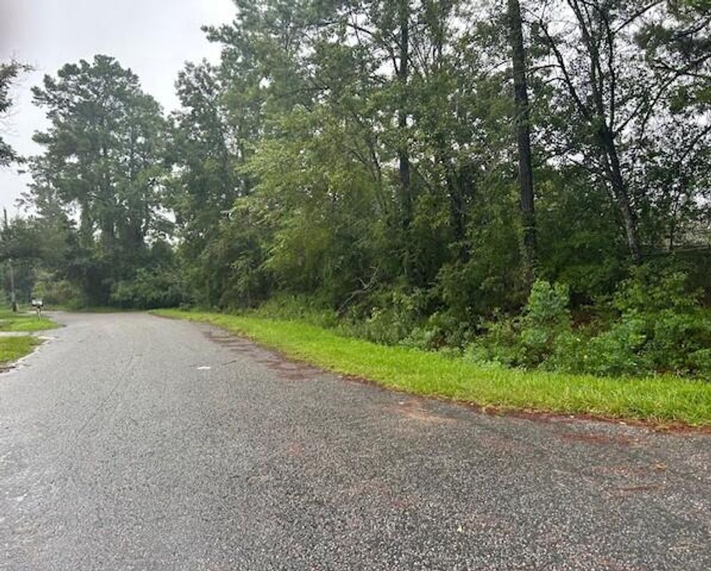 Photo of 0 Old Hertz Road, North Charleston, SC 29418 (MLS # 25004561)
