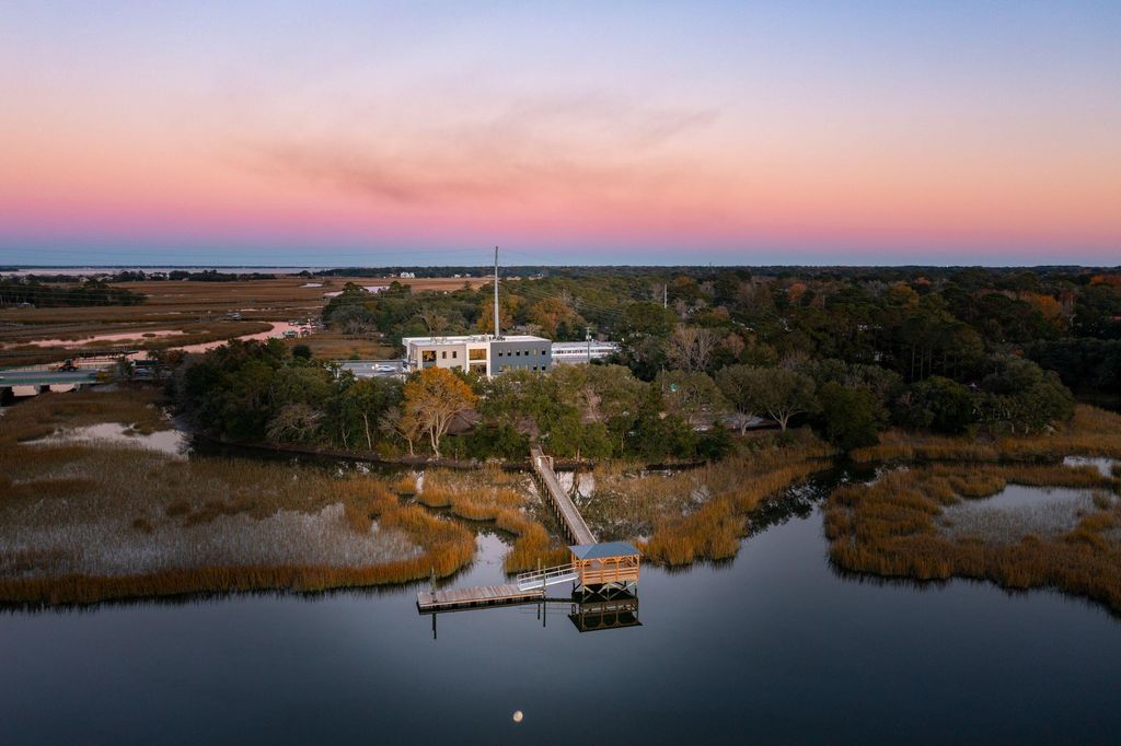 Photo of 826 Curved Creek Court, Charleston, SC 29412 (MLS # 25019514)