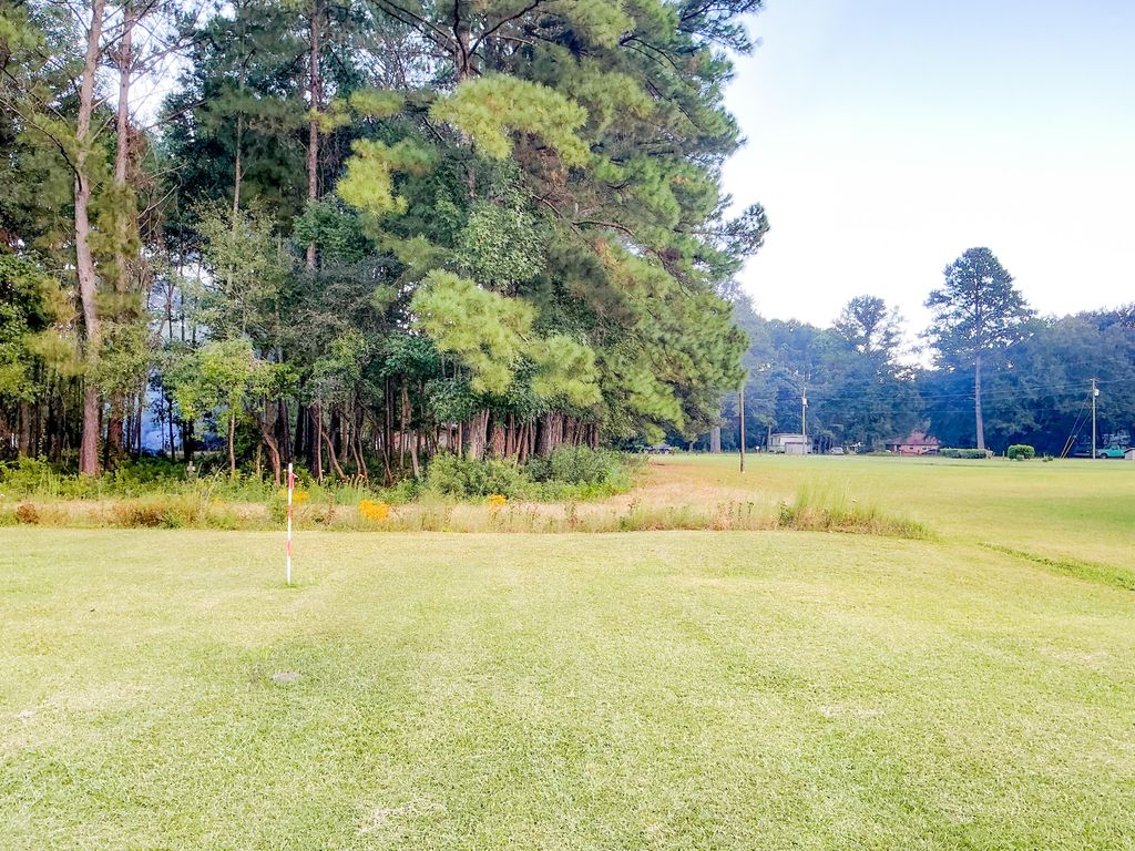Photo of 839 Burgin Road, McClellanville, SC 29458 (MLS # 25027169)