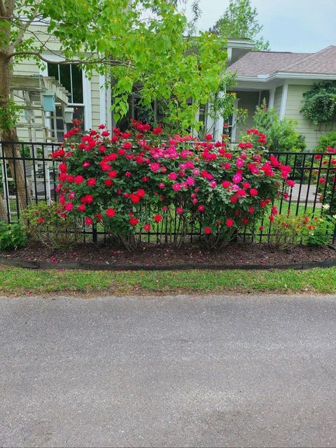 A home in Summerville