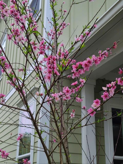 A home in Summerville