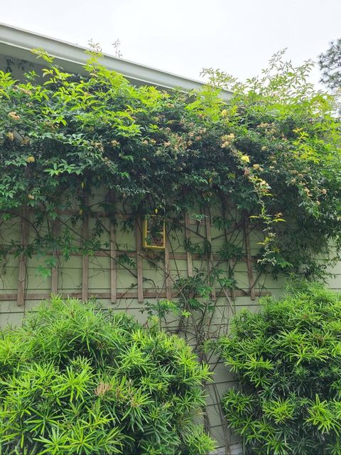 A home in Summerville