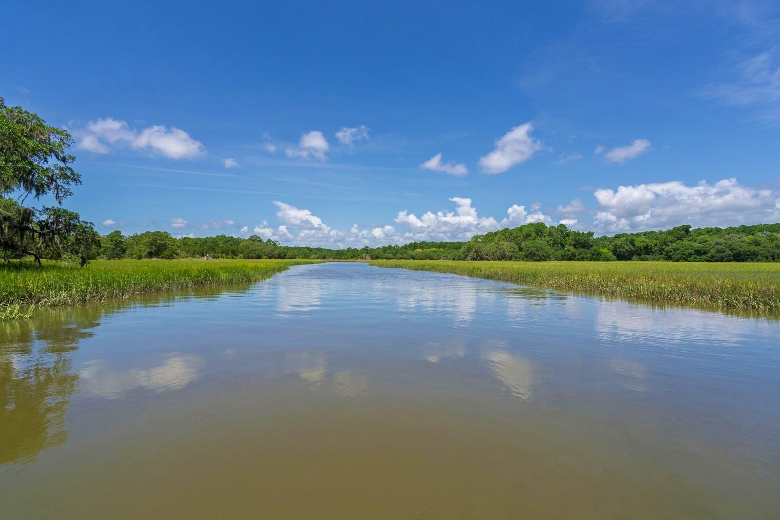 7732 Blue House Lane 2 Ac On Deepwater