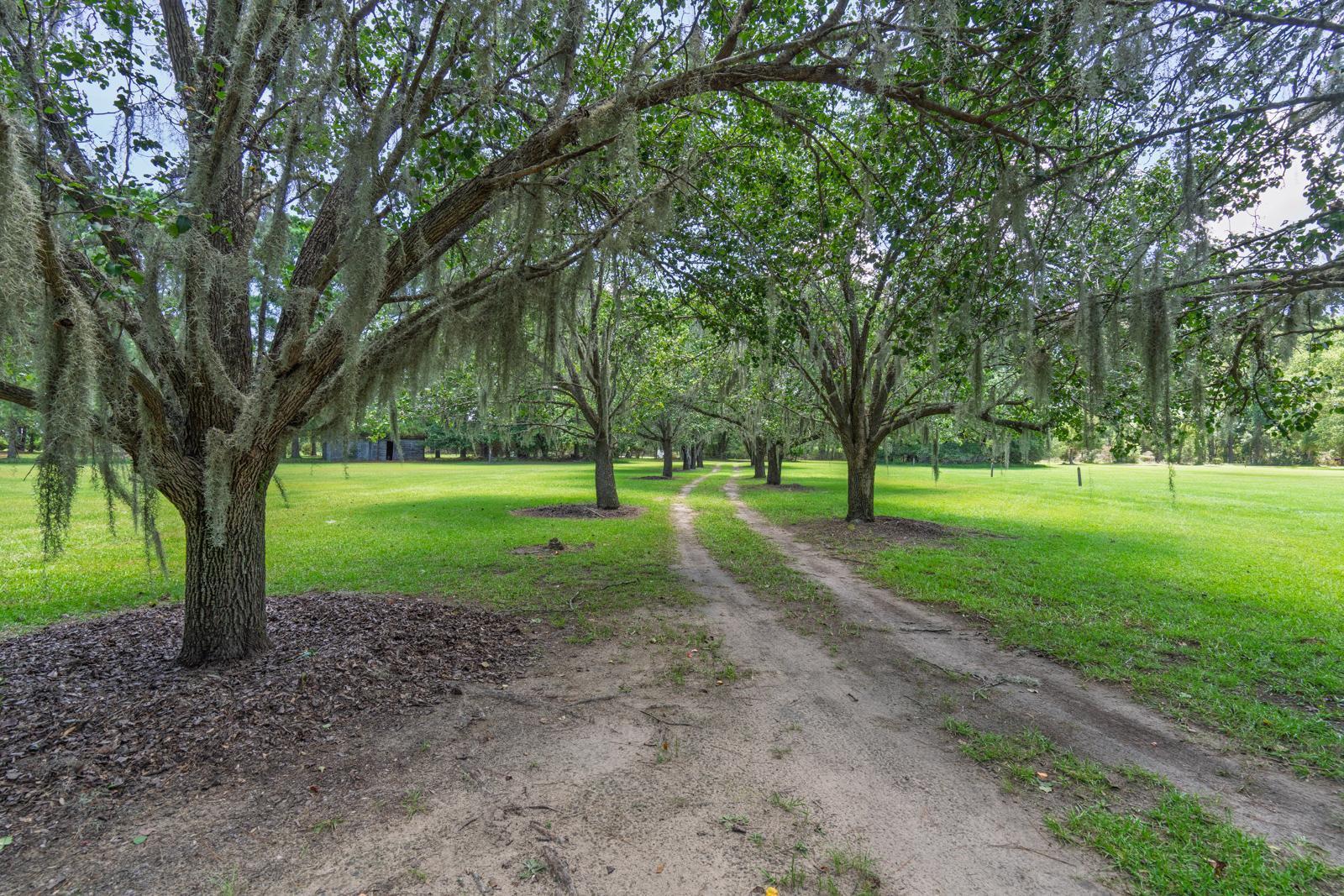 7732 Blue House Lane 2 Ac On Deepwater