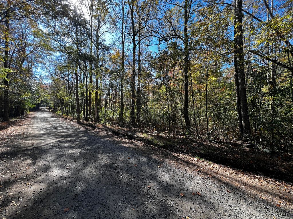 Photo of 0 Branch Road, Moncks Corner, SC 29461 (MLS # 23002336)