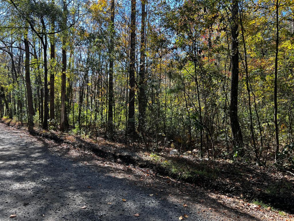 Photo of 0 Branch Road, Moncks Corner, SC 29461 (MLS # 23002336)