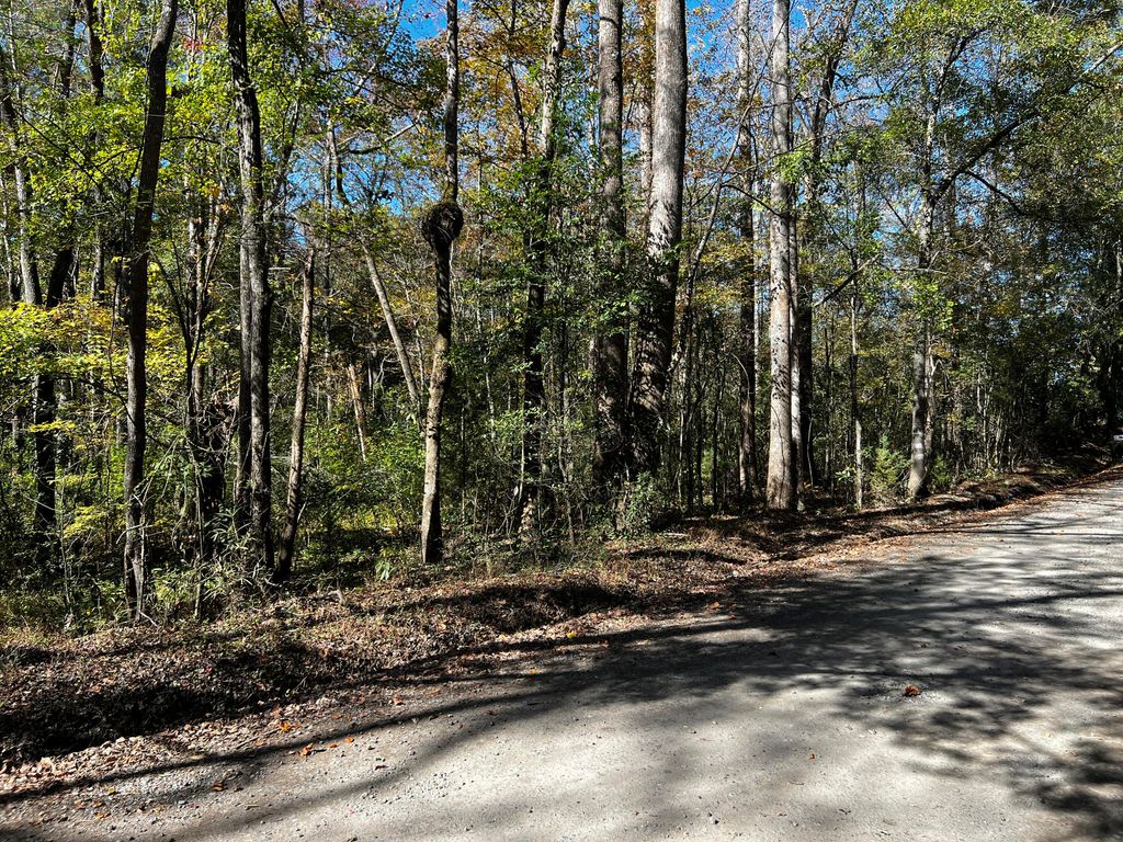 Photo of 0 Branch Road, Moncks Corner, SC 29461 (MLS # 23002336)