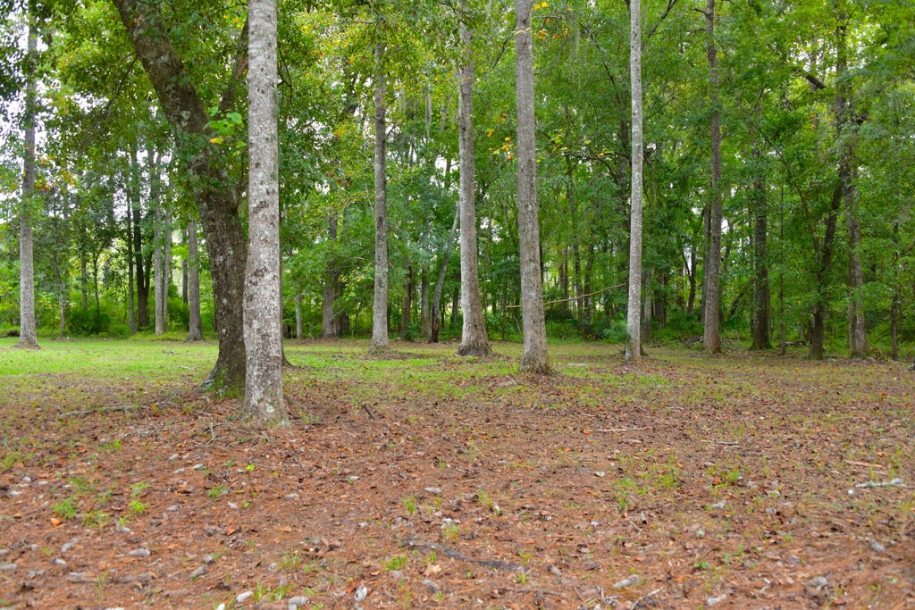 Photo of 6441 Highway 162, Hollywood, SC 29449 (MLS # 26028069)