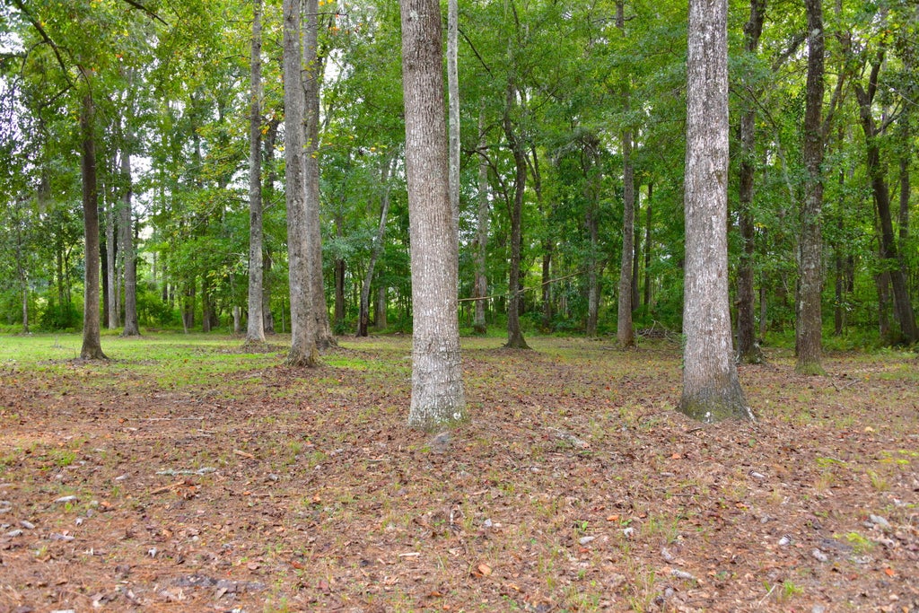 Photo of 6441 Highway 162, Hollywood, SC 29449 (MLS # 26028069)
