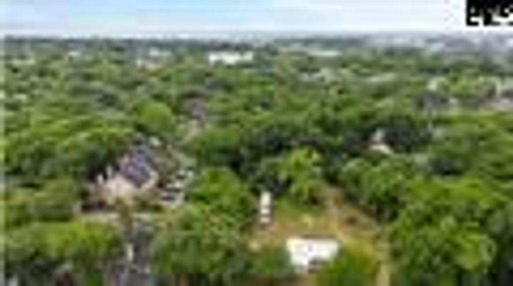 Photo of 301 7th Avenue, Mount Pleasant, SC 29464 (MLS # 25023881)