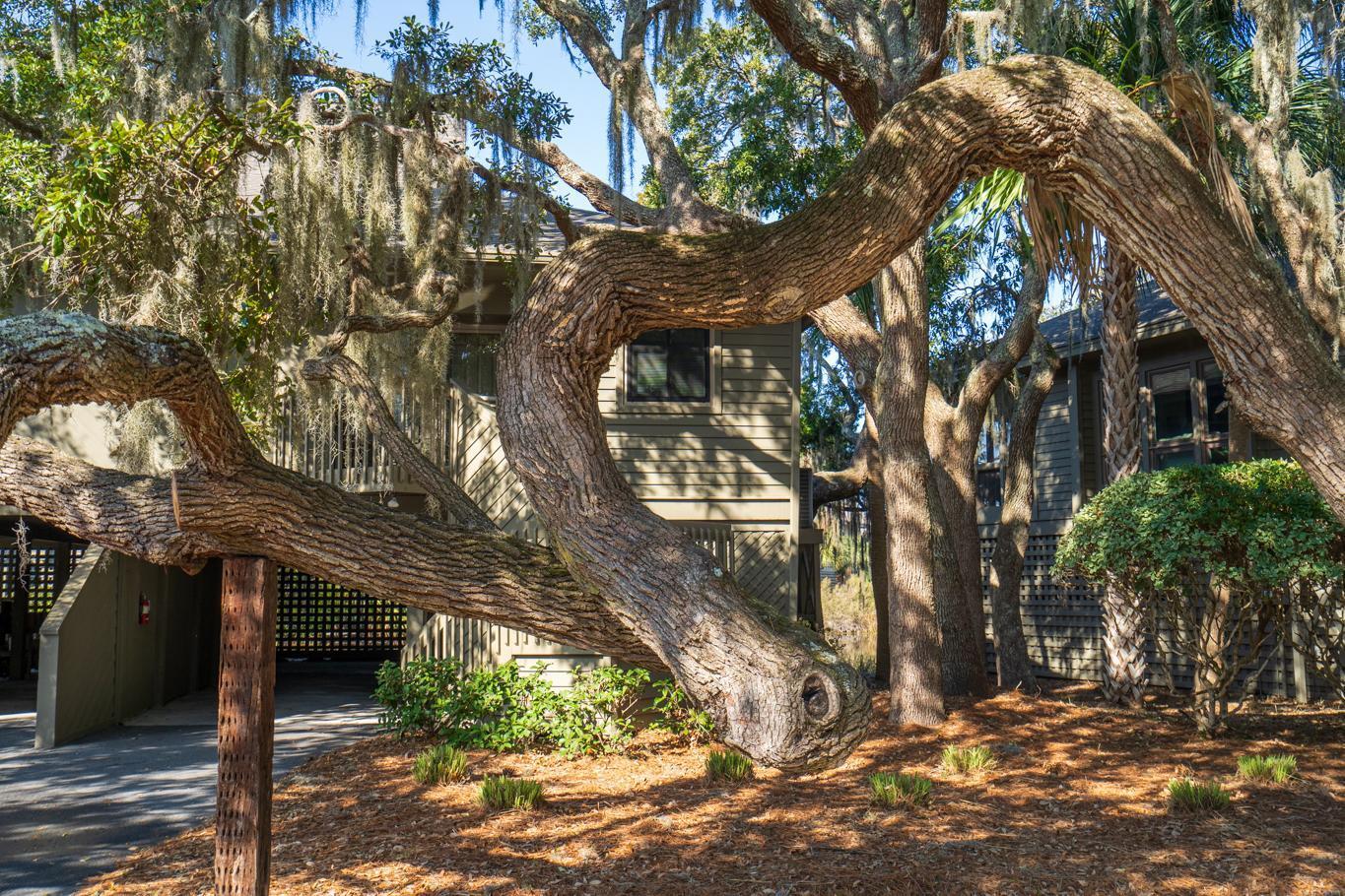 796 Summerwind Circle