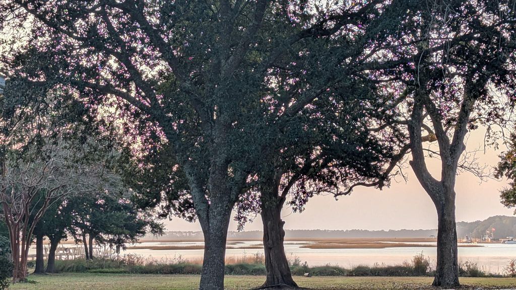 Photo of 1138 Cottage Road, Charleston, SC 29412 (MLS # 25029277)