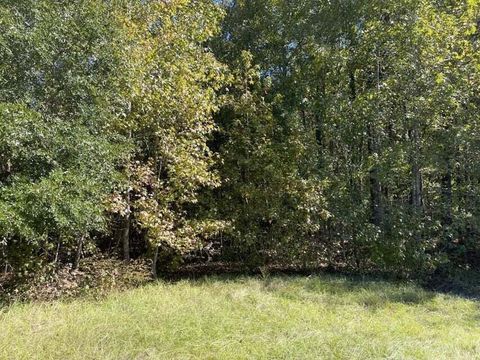 0 Carolina Highway Olar SC 29843